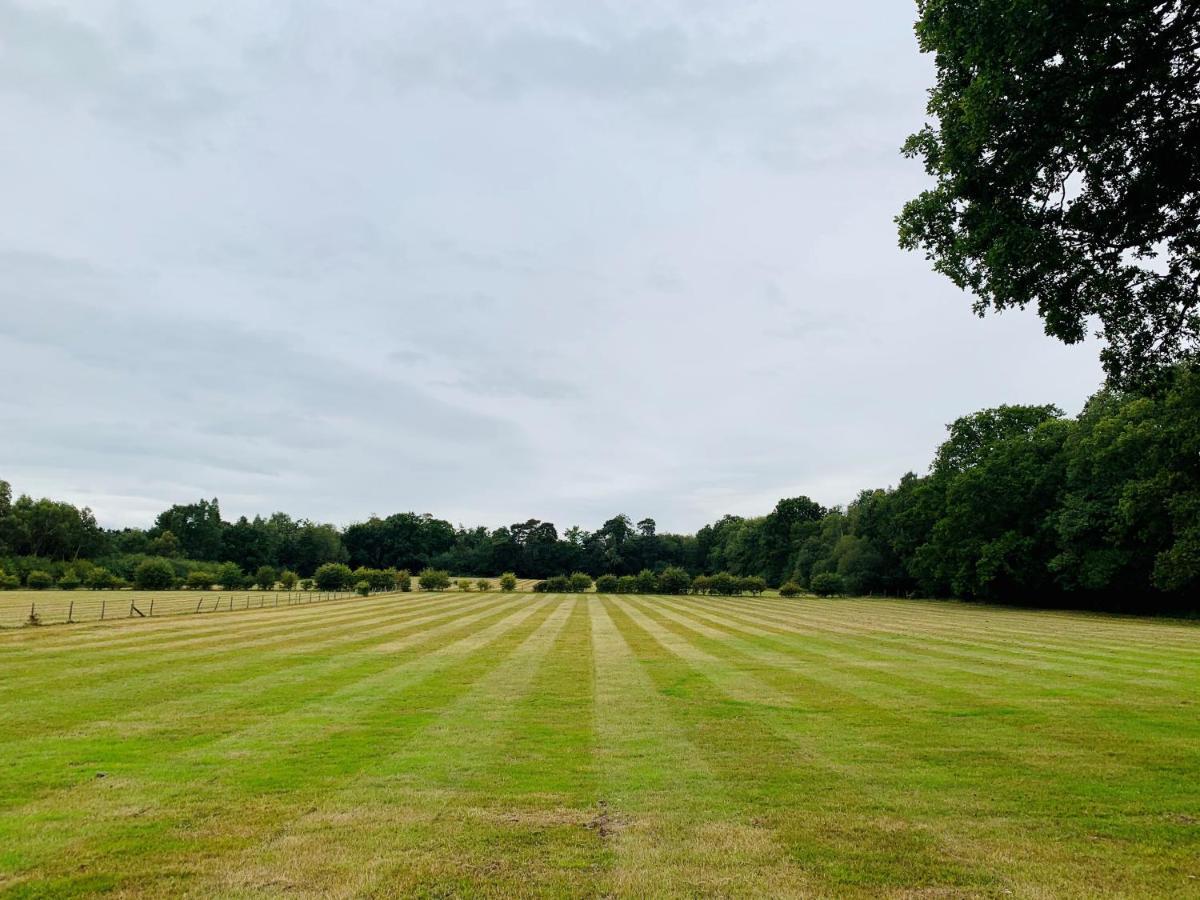 Whitmoor Farm * Guildford