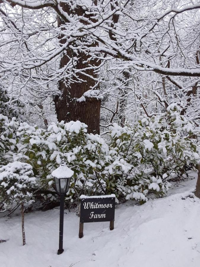 Whitmoor Farm Farm stay Guildford